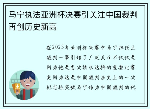 马宁执法亚洲杯决赛引关注中国裁判再创历史新高