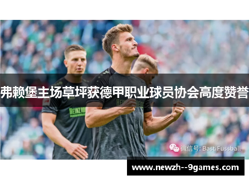 弗赖堡主场草坪获德甲职业球员协会高度赞誉 弗赖堡主场草坪获德甲职业球员协会高度赞誉
